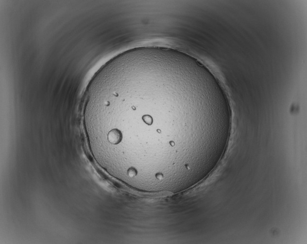 X0000115630816200911241645