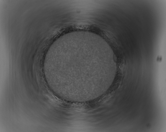 X0000115630817200911241645