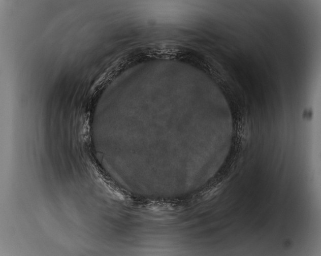 X0000115630818200911241645