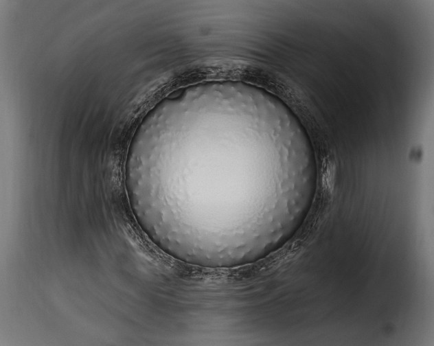 X0000115630819200911241645