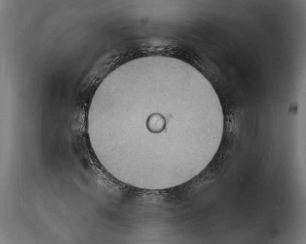 X0000115630820200911241645