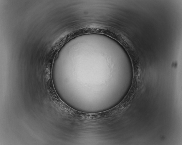 X0000115630821200911241645