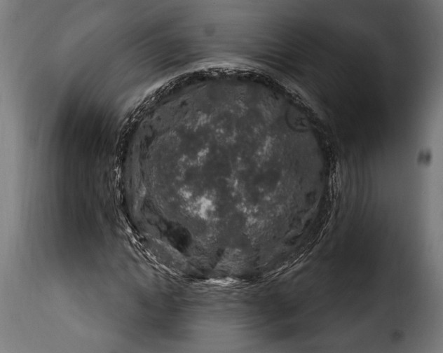 X0000115630822200911241645