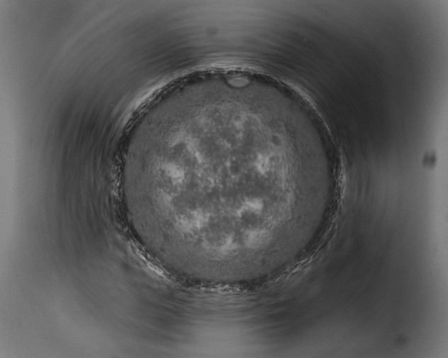 X0000115630823200911241645