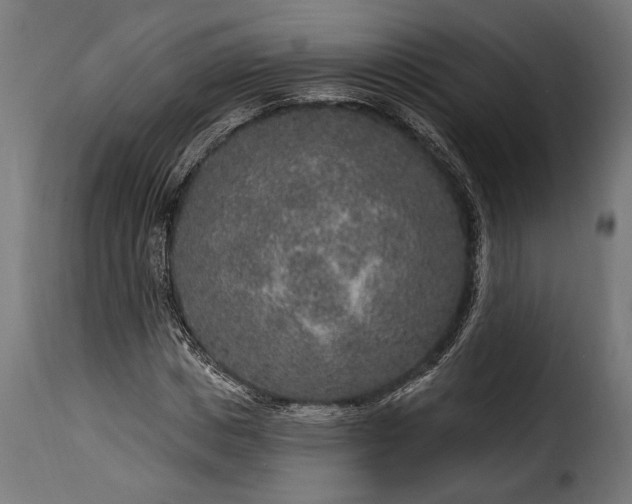 X0000115630825200911241645