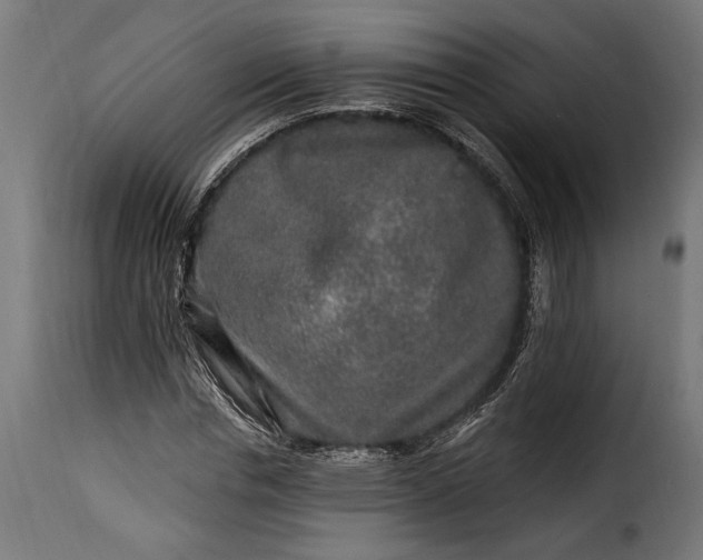 X0000115630826200911241645