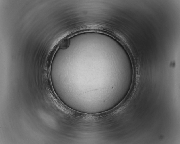 X0000115630827200911241645