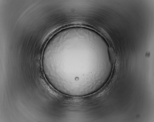 X0000115630831200911241645