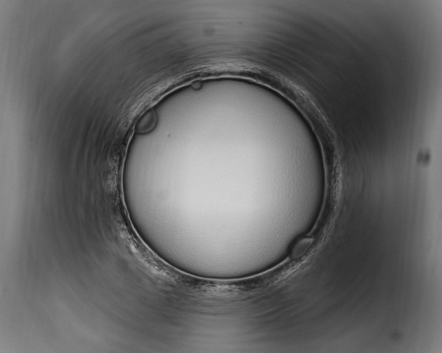 X0000115630833200911241645