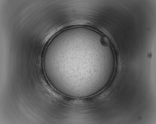 X0000115630834200911241645