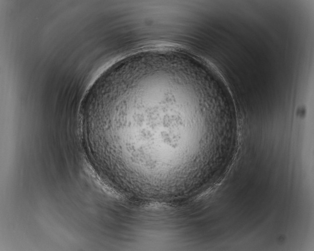 X0000115630835200911241645