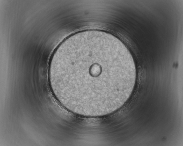 X0000115630836200911241645