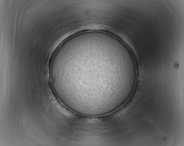 X0000115630837200911241645