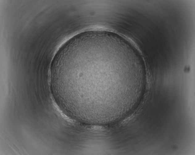 X0000115630839200911241645