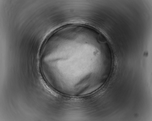 X0000115630840200911241645