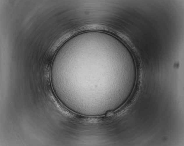 X0000115630841200911241645