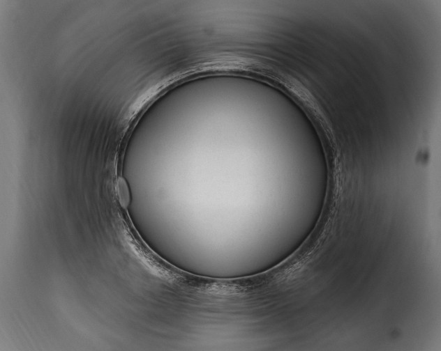 X0000115630842200911241645