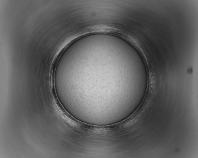 X0000115630843200911241645