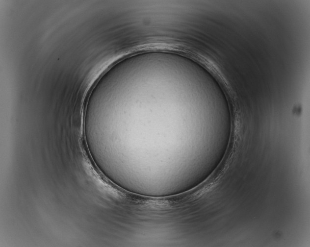 X0000115630844200911241645