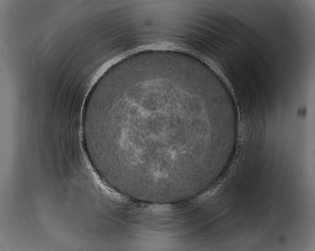 X0000115630845200911241645