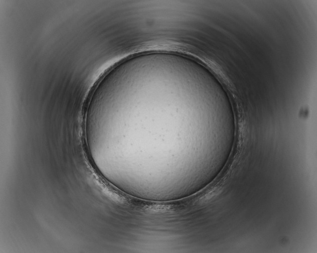 X0000115630846200911241645