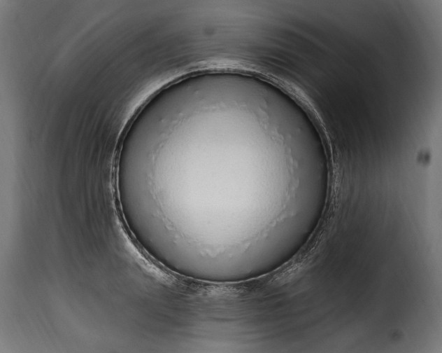 X0000115630847200911241645