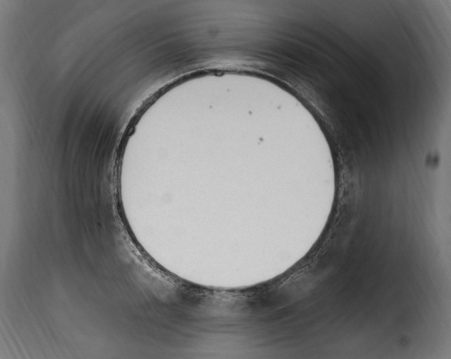 X0000115630848200911241645