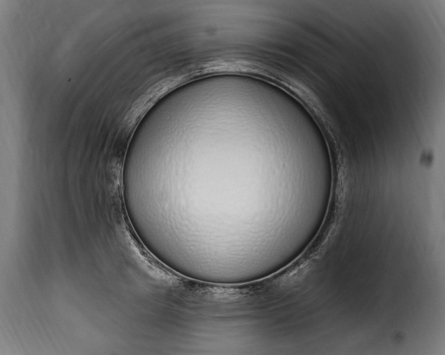 X0000115630849200911241645