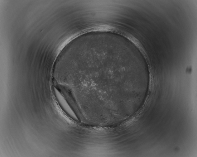 X0000115630850200911241645