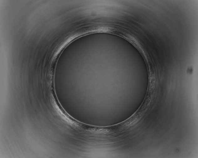 X0000115630851200911241645