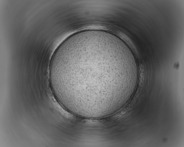 X0000115630852200911241645