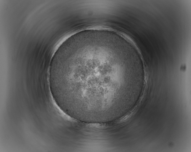 X0000115630855200911241645