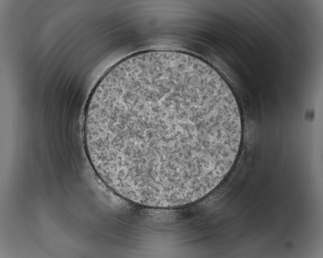 X0000115630856200911241645