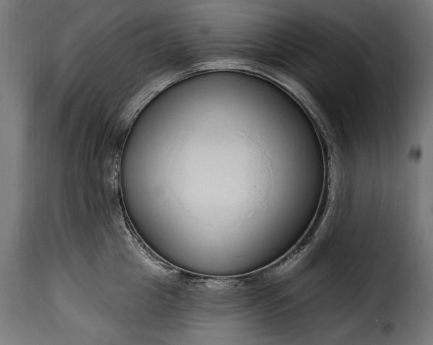 X0000115630857200911241645