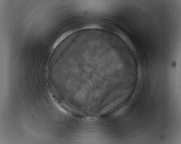 X0000115630858200911241645