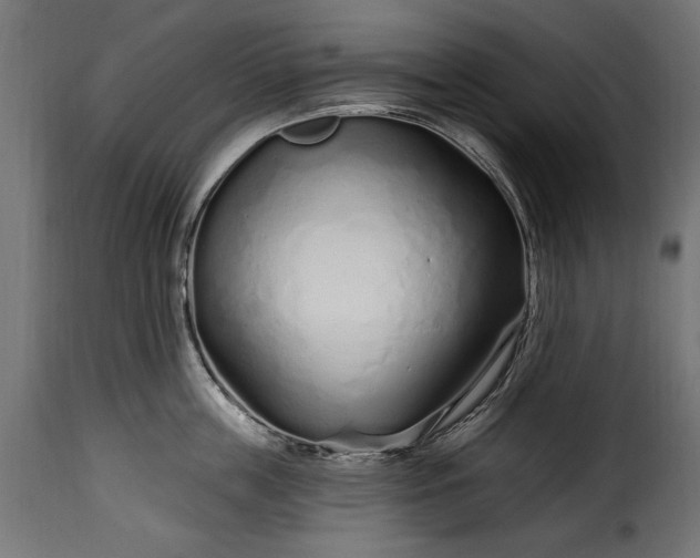 X0000115630859200911241645