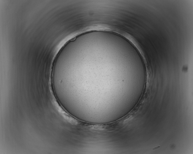 X0000115630861200911241645