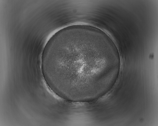 X0000115630862200911241645