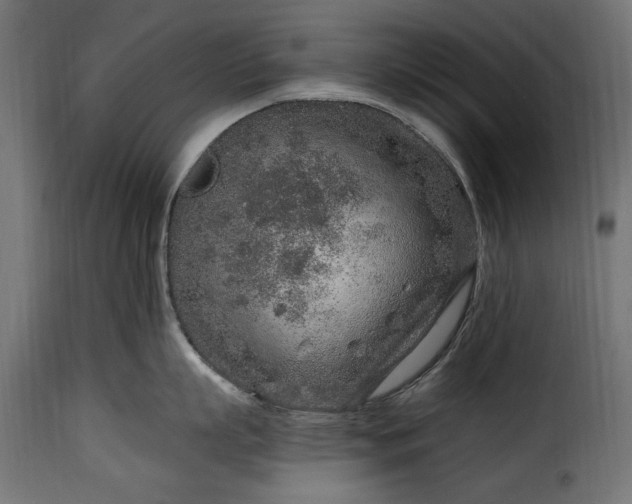 X0000115630863200911241645