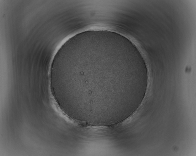 X0000115630864200911241645