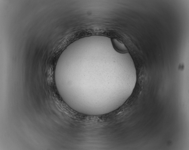 X0000115630866200911241645