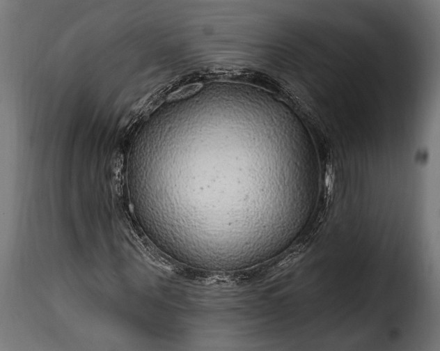 X0000115630867200911241645