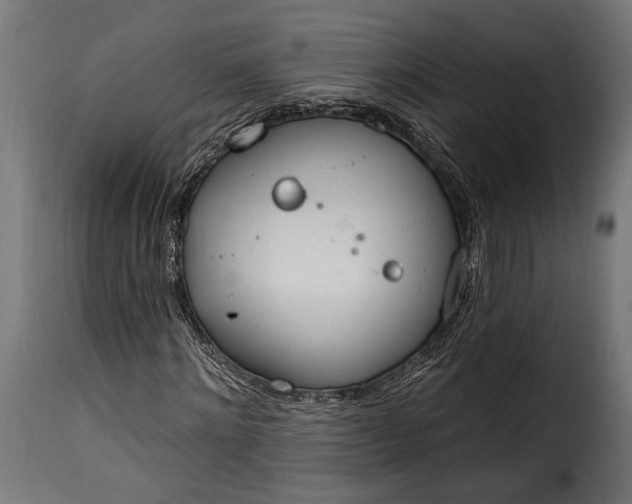 X0000115630868200911241645