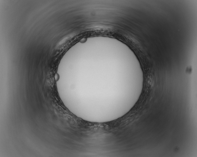 X0000115630869200911241645