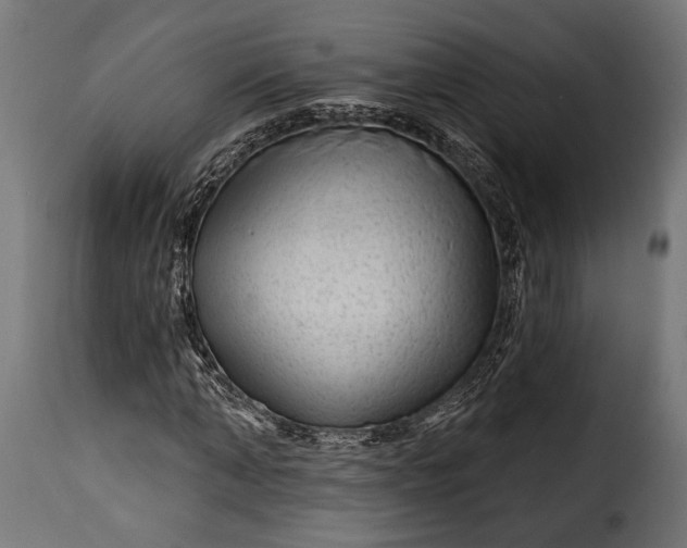 X0000115630870200911241644