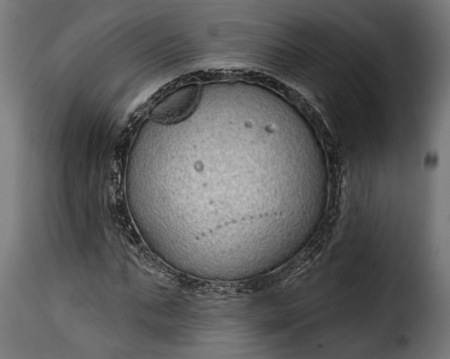 X0000115630871200911241644