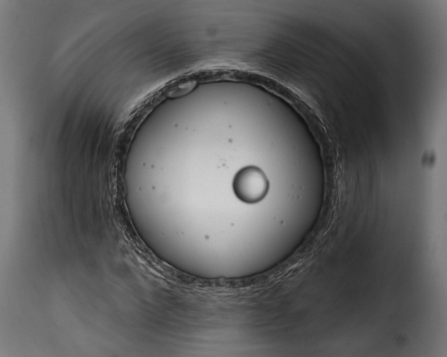 X0000115630872200911241644