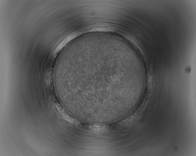 X0000115630874200911241644