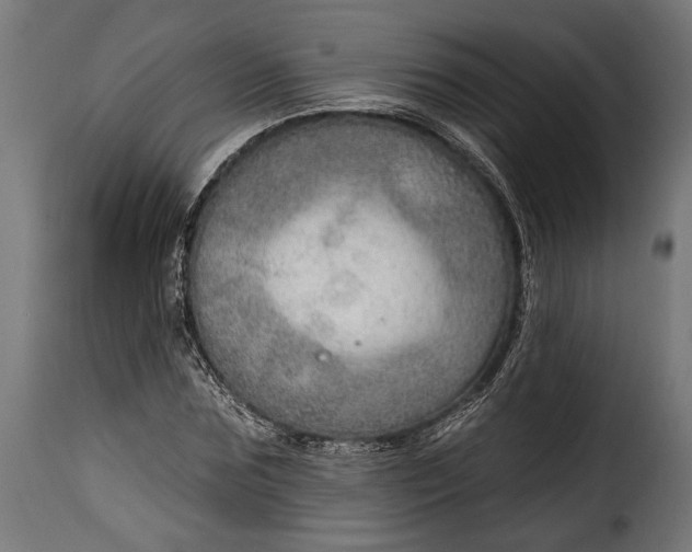 X0000115630875200911241644