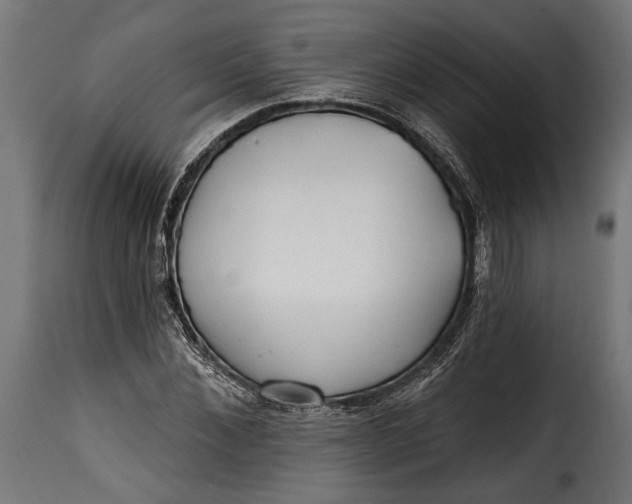 X0000115630876200911241644